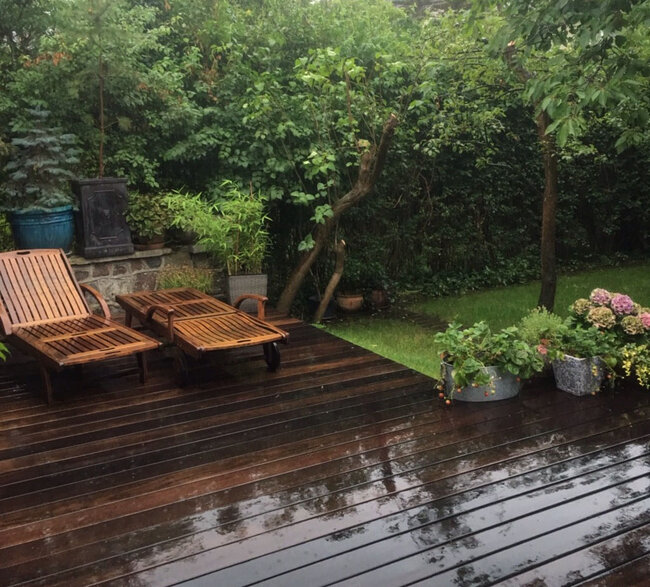 Terraza de madera mojada con tumbonas y plantas en macetas.