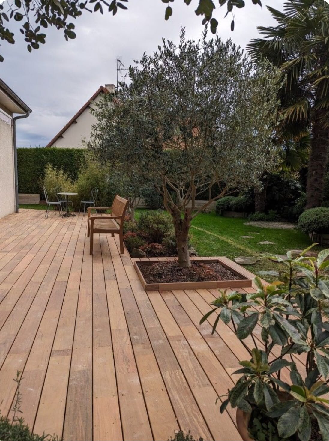 Terraza de madera en el jardín con olivo.