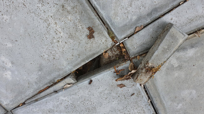 Baldosas de hormigón desplazadas y dañadas en la terraza.