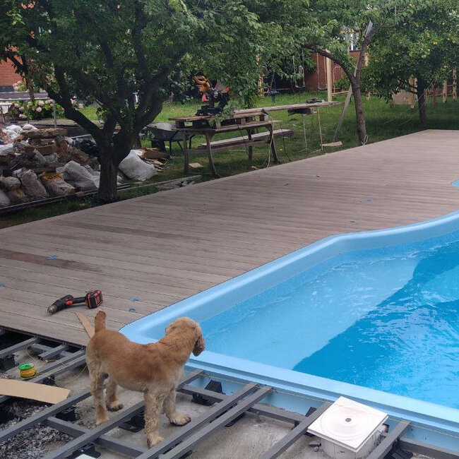 Construcción de una terraza con suelo técnico alrededor de la piscina sobre plots soporte y vigas Raptor con un perro en el encuadre.