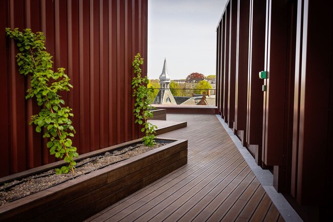 Camino de terraza de madera en la azotea rodeado de paredes de chapa ondulada de color rojo oscuro y jardineras de madera para plantas trepadoras.